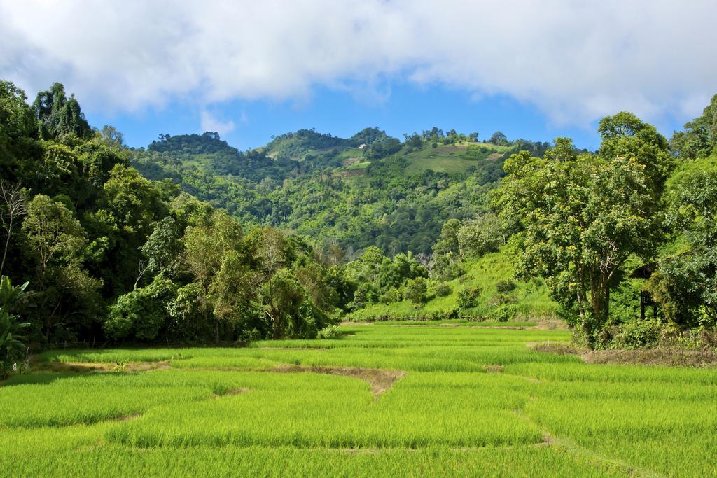 Hmong Hilltribe Lodge Merim Kültér fotó